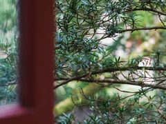 -蒋氏故居