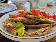 -小小饭店·休闲农庄·安吉松树林里的农家菜