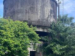 -长洲岛