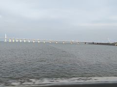-港珠澳大桥(珠海段)