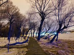 -长春市南湖公园