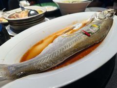 -醉庐·新上海菜(南京西路店)