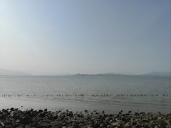 -深圳湾公园(南山区)