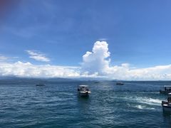 -东姑阿都拉曼海洋公园