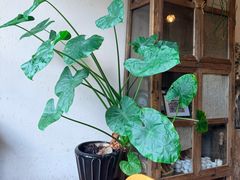 -小食院简餐厅