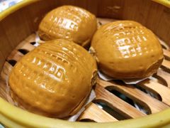 -湘潭九龙鱼头店(城南西路店)