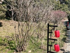 -无锡梅园公园