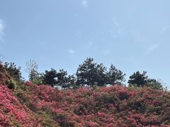 -木兰云雾山