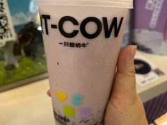 -一只酸奶牛(八一路店)