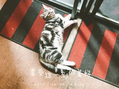 -咖法森林·咖啡  酒吧(天河店)