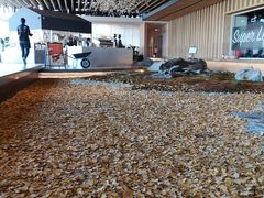 -Seesaw Coffee(朝阳大悦城店)