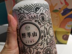 -野萃山·潮汕厚果汁(十亩地店)