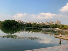 -新江湾城公园