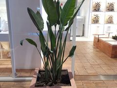 -% Arabica阿拉比卡咖啡(武汉天地店)