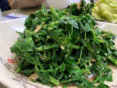凉拌苜蓿-壹阁胡羊焖饼(特色小吃街店)