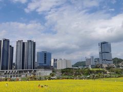 -光明小镇欢乐田园
