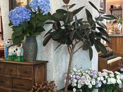 -绿房子方寸咖啡(星海名城店)