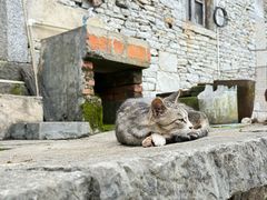 -高荡千年布依古寨旅游景区