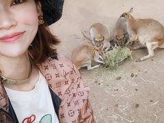 -费瑟代尔野生动物园