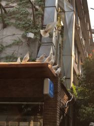 -艳芳照相馆
