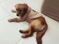 -怪兽屋·羊驼·猫咖·狗咖(俊华广场店)