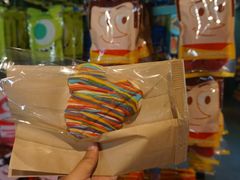 -奥兰多迪士尼动物王国乐园