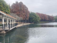 -荔湾湖公园