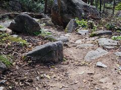 -大岭沟猕猴桃谷风景区