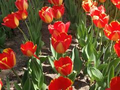 -长春公园(普阳街道)