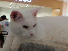 -龙湖南京江北天街