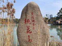 -金鸡湖桃花岛