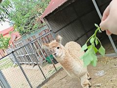 -意大利农场度假村