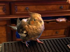 -鸡尾酒实验室酒吧(隆礼路店)