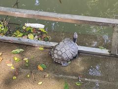 -敬亭山风景名胜区