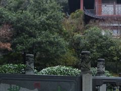 -十八棵（老龙井）御茶园(老龙井店)