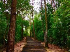 景点-丹霞山风景名胜区