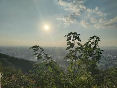 -杭州半山国家森林公园