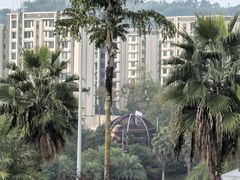 -枫香湖儿童公园