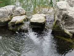 -趵突泉景区