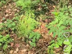 -金华体育中心游泳馆