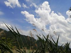 -羚羊峡古栈道森林公园