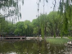-玲珑塔公园