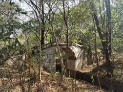 -青龙山国家森林公园