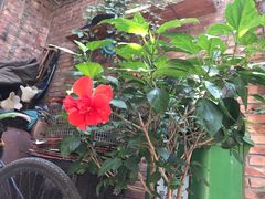 景观位-新疆狼爷烤肉(宋庄店)