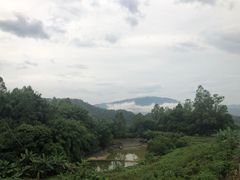 -天强农家菜馆