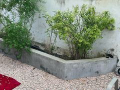 -爪吧宠物乐园 (温榆河示范区店)