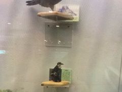 -下渚湖国家湿地公园科普馆