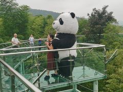 -陶祖圣境风景区