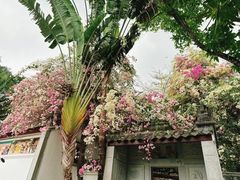 -深圳国际园林花卉博览园