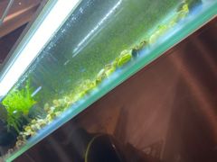 -黄鱼炙夜(华家池店)